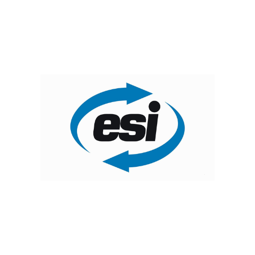 GROUP ESI