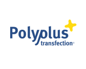POLYPLUS TRANSFECTION