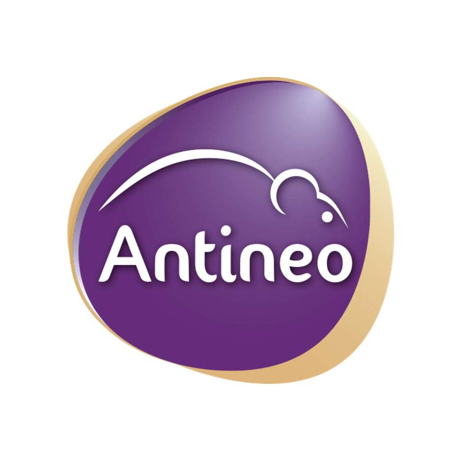 ANTINEO