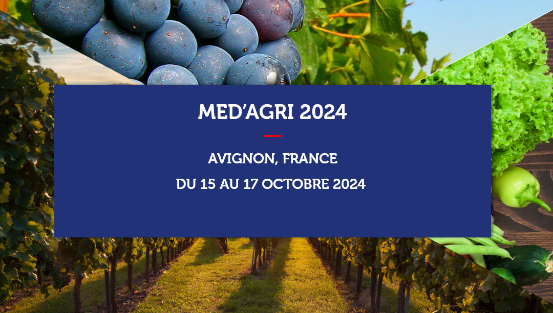 Export Commence en France – Business Meetings MED’AGRI 2024