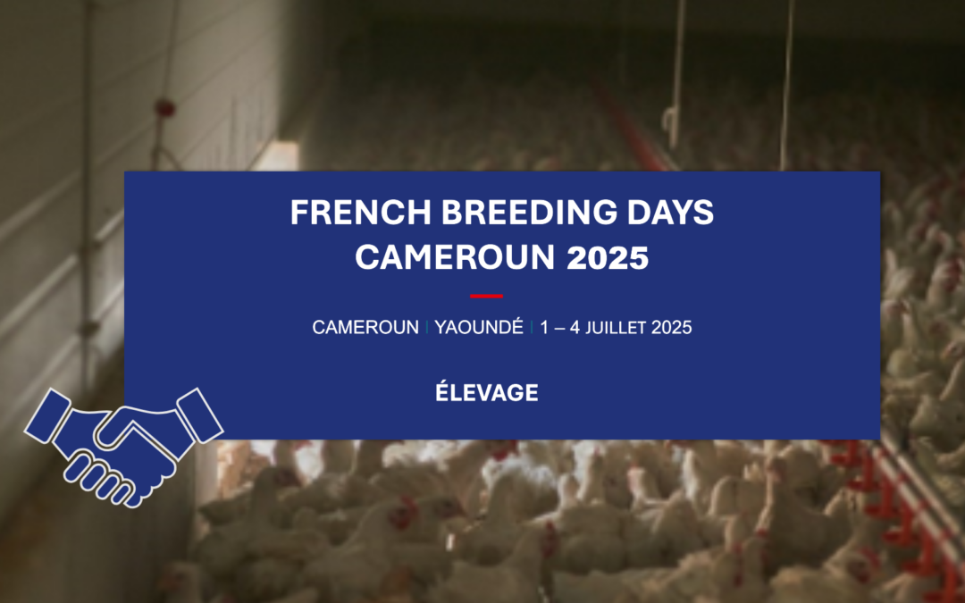 French Breeding Days​ Cameroun 2025​