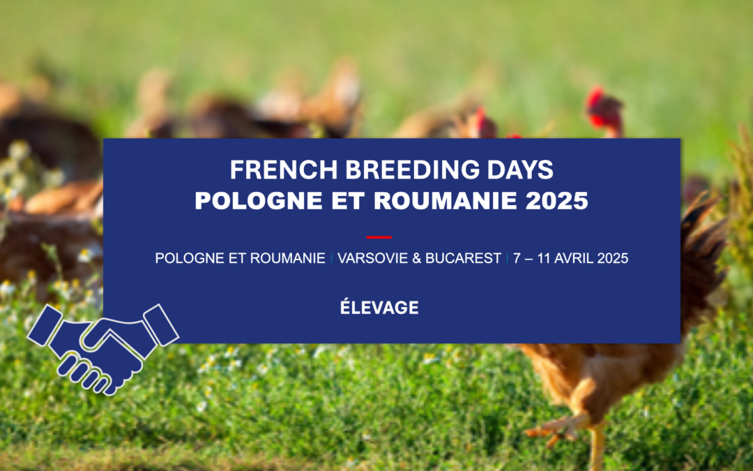 French BREEDING Days​ Pologne et Roumanie 2025​