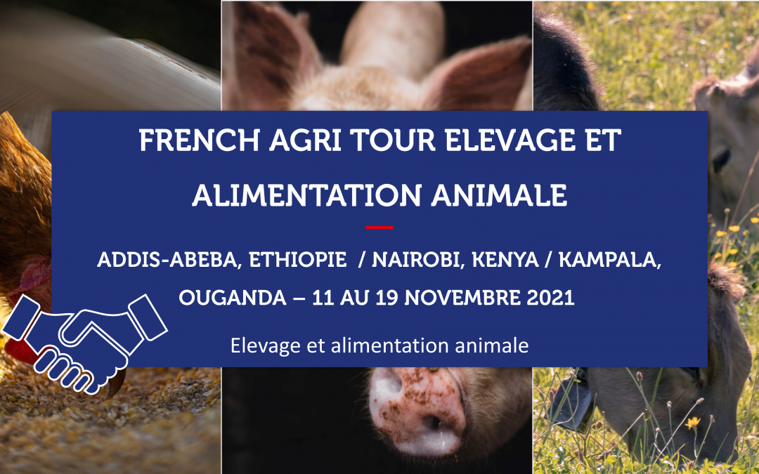 ETHIOPIE, KENYA, OUGANDA – French Agri Tour Elevage et Alimentation animale