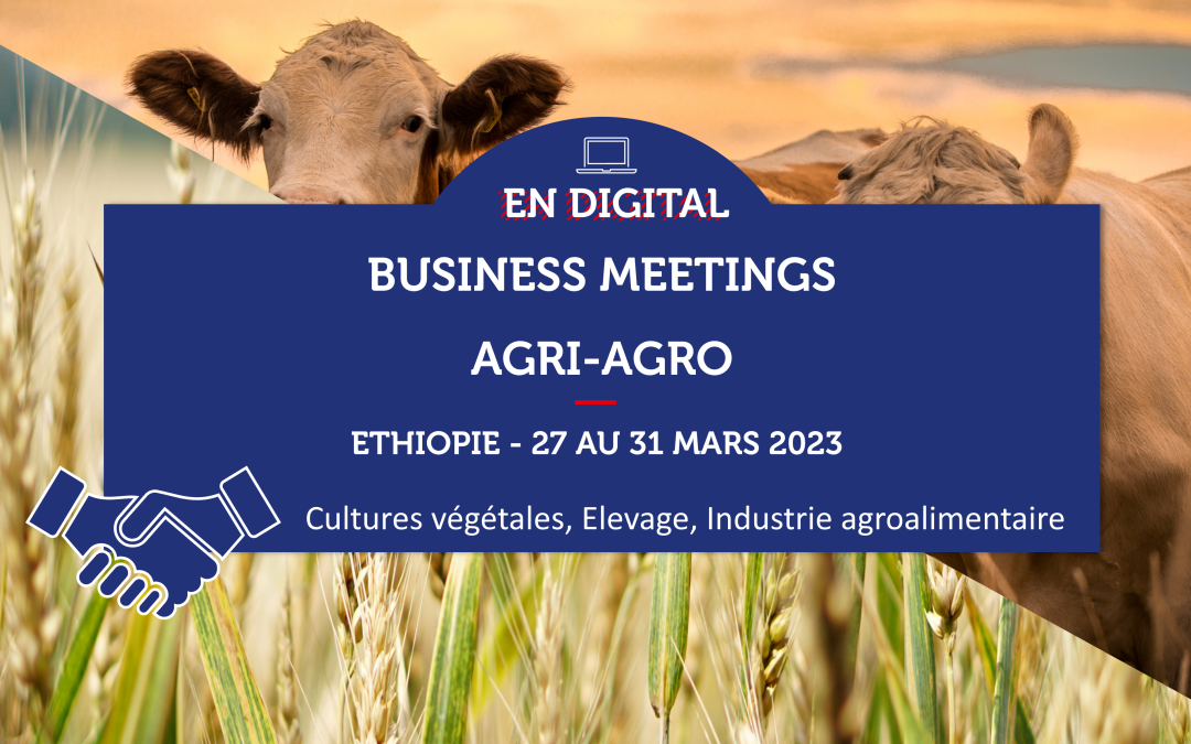 ETHIOPIE – Business Meetings Agri-Agro
