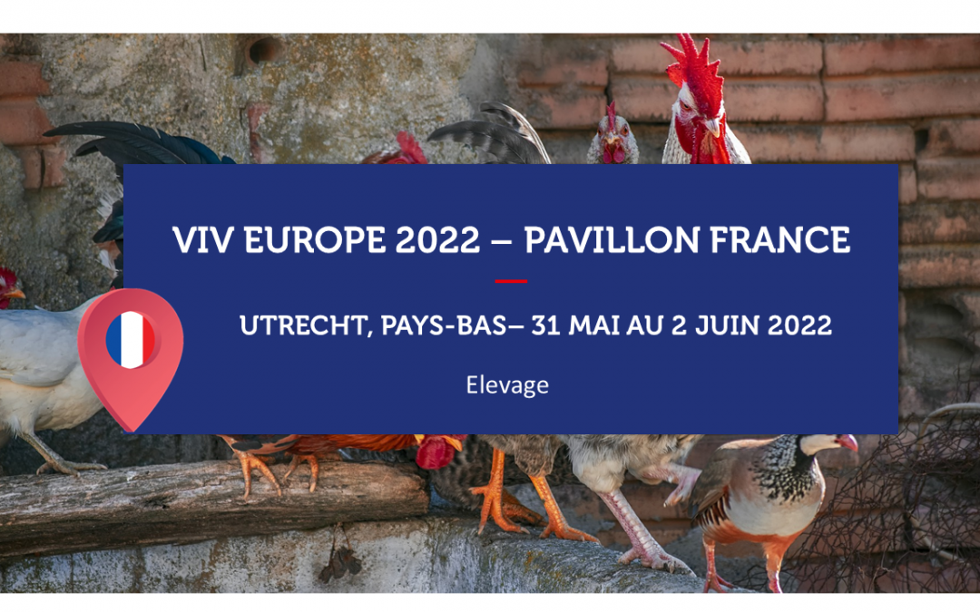 PAYS-BAS – VIV EUROPE 2022 – Pavillon Elevage