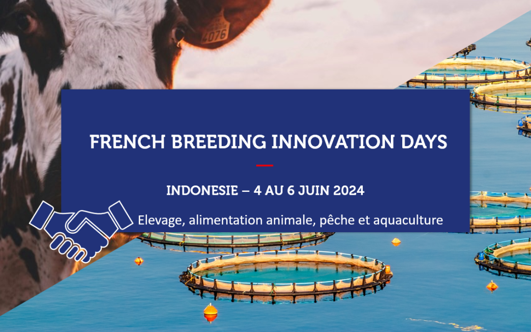 INDONESIE – French Breeding Innovation Days 2024