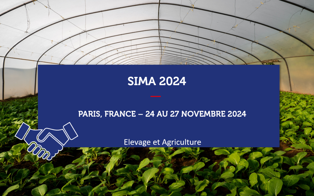 Export Commence en France – SIMA