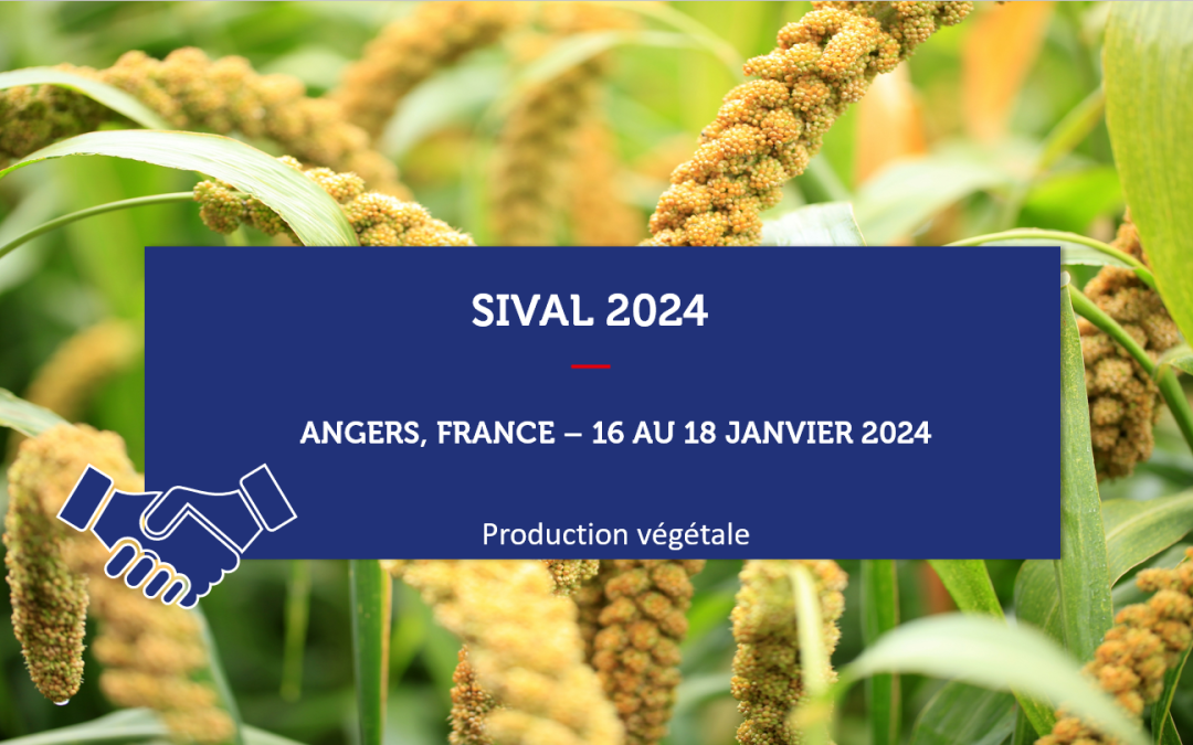 Export Commence en France – SIVAL 2024