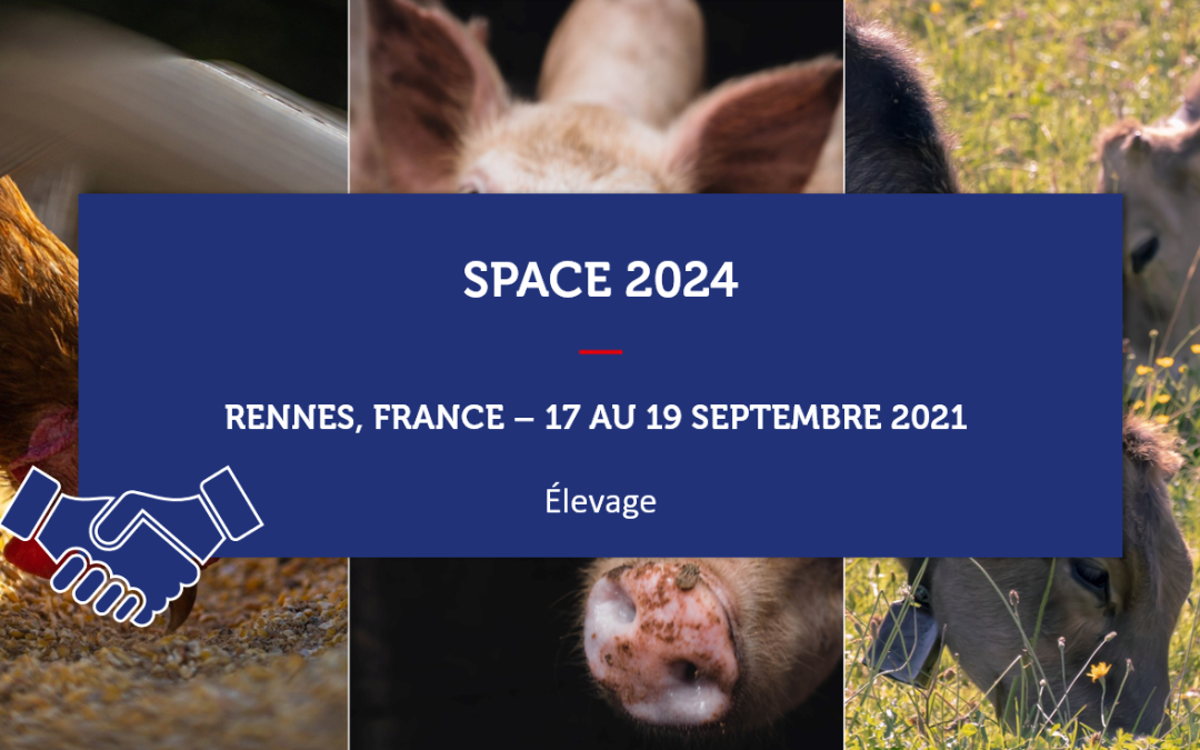 Export Commence En France – SPACE 2024