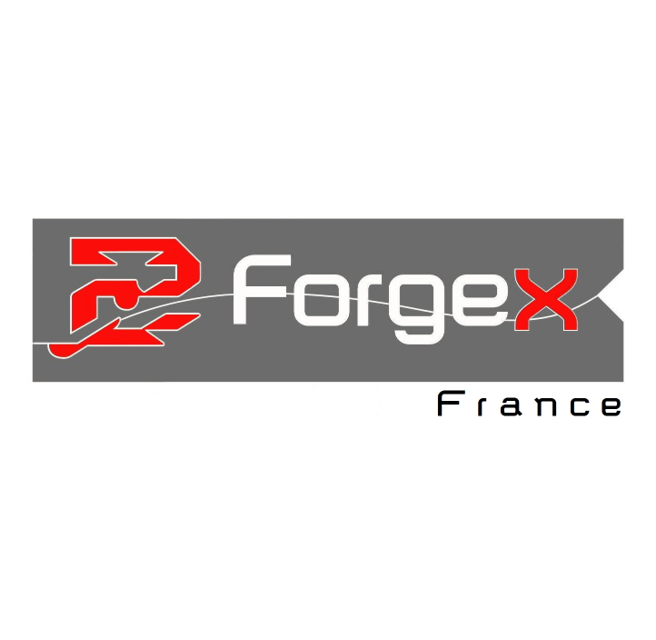 FORGEX FRANCE