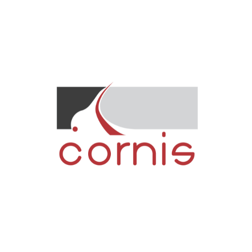 CORNIS Inspection Blade & Data Management